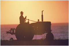 自產(chǎn)自銷(xiāo)農(nóng)產(chǎn)品的賬務(wù)處理